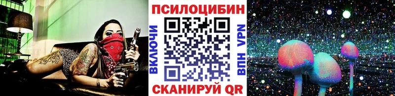 Галлюциногенные грибы мицелий  цены   Карасук 