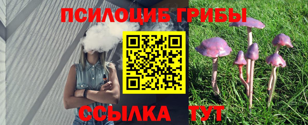 Галлюциногенные грибы Cubensis  Вход с VPN  Карасук 