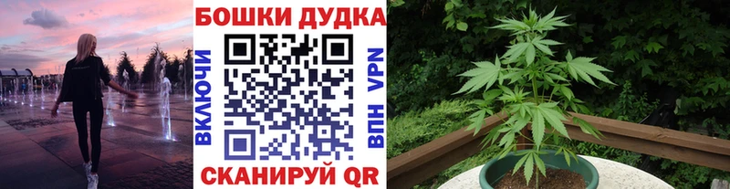 дарнет шоп  Карасук  Бошки Шишки MAZAR 